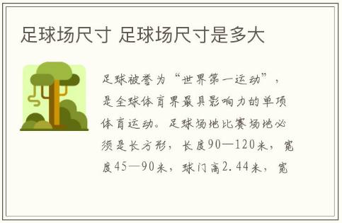足球場(chǎng)尺寸介紹 足球場(chǎng)尺寸是多大