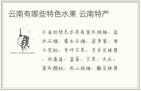 云南有哪些特色水果 云南特產(chǎn)
