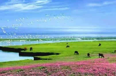 鄱陽湖讀bo還是po，鄱字讀音是po(是中國最大的淡水湖)