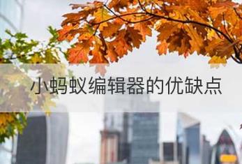 小螞蟻編輯器的優缺點