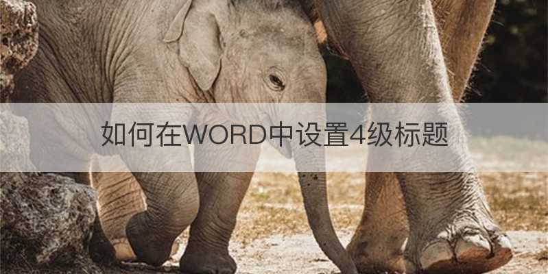 如何在WORD中設(shè)置4級標題