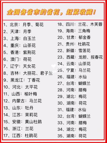全國各省市的省花（中國各省省花一覽表 完整版），趕緊收藏！