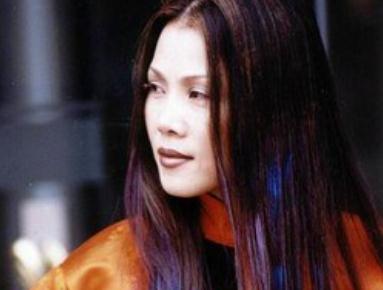 歌手田震個人資料簡介 田震簡介及老公介紹資料