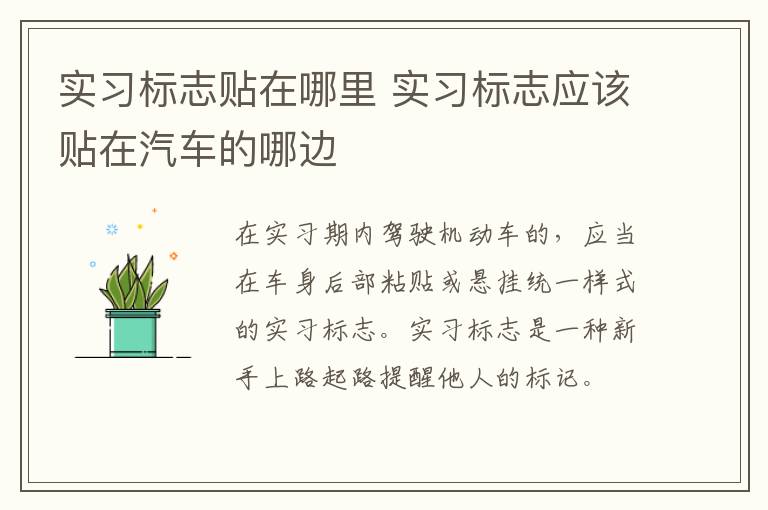 實(shí)習(xí)標(biāo)志貼在哪里 實(shí)習(xí)標(biāo)志應(yīng)該貼在汽車(chē)的哪邊