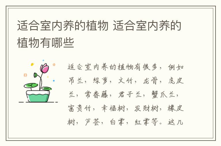 適合室內養(yǎng)的植物 適合室內養(yǎng)的植物有哪些