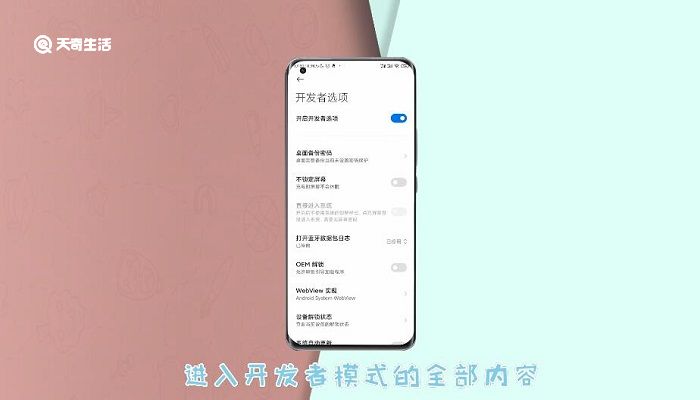 小米怎么進(jìn)開(kāi)發(fā)者模式 小米如何進(jìn)開(kāi)發(fā)者模式