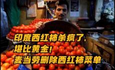 印度爆發(fā)“西紅柿之亂”：漲價7倍比汽油還貴、有人發(fā)財有人被殺