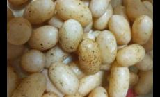 烏龜?shù)俺粤擞惺裁春锰幒蛪奶?/></div>
                </a>
                <div   id=
