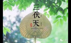 三伏天是幾月幾號2023?今年三伏天時間表2023最細(xì)消息