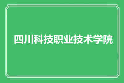 四川科技職業(yè)技術學院辦學特色