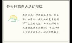 冬天野雞白天活動(dòng)規(guī)律