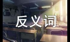 從容的近義詞是什么？從容的近義詞有哪些