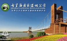 天津一日旅游攻略 必玩的景點(diǎn) 天津七里海國家濕地公園2024