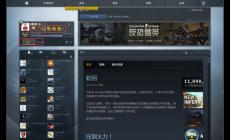 csgo國服啟動(dòng)項(xiàng)代碼是什么?