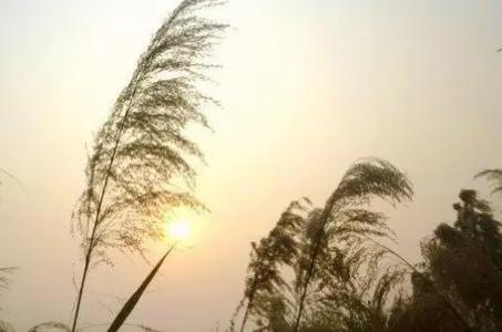 風(fēng)中的遺憾原唱誰(shuí)唱的 風(fēng)中的遺憾原唱是誰(shuí)