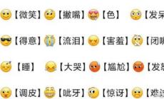 微信58個表情含義圖(附圖標(biāo)含義詳解)