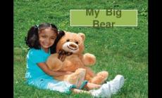 bigbear是什么意思？bigbear的中文意思