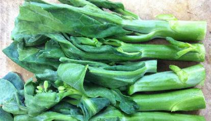 芥藍(lán)菜的圖片功效與作用