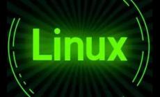 Linux下出現(xiàn)permission denied怎么解決（解決辦法）