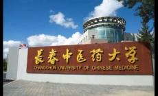長春中醫(yī)藥大學(xué)代碼是多少