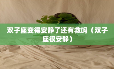 雙子座安靜嗎？當雙子座變得安靜了還有救嗎？