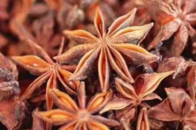 古龍大紅八角