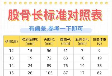 股骨長(zhǎng)偏小一周是缺鈣嗎？