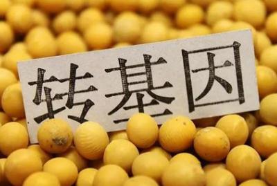 轉(zhuǎn)基因?qū)ι眢w有害嗎？三個(gè)轉(zhuǎn)基因危害害處盤點(diǎn)