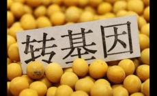 轉基因對身體有害嗎？三個轉基因危害害處盤點