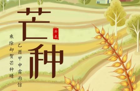 芒種節氣介紹 芒種節氣介紹資料600字